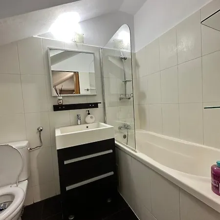 Apartment Harmony Homes Badea Cartan Timisoara