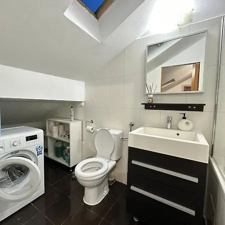 Apartment Harmony Homes Badea Cartan Timisoara