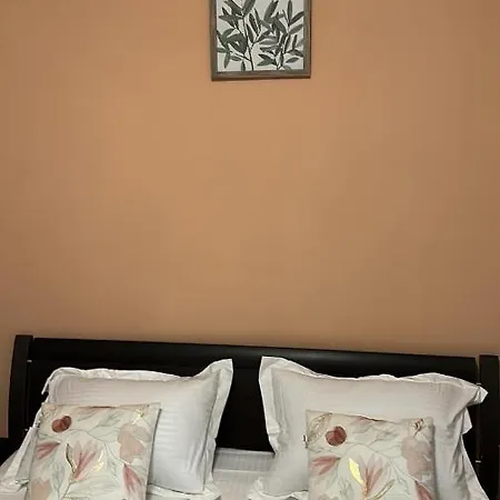 Harmony Homes Badea Cartan